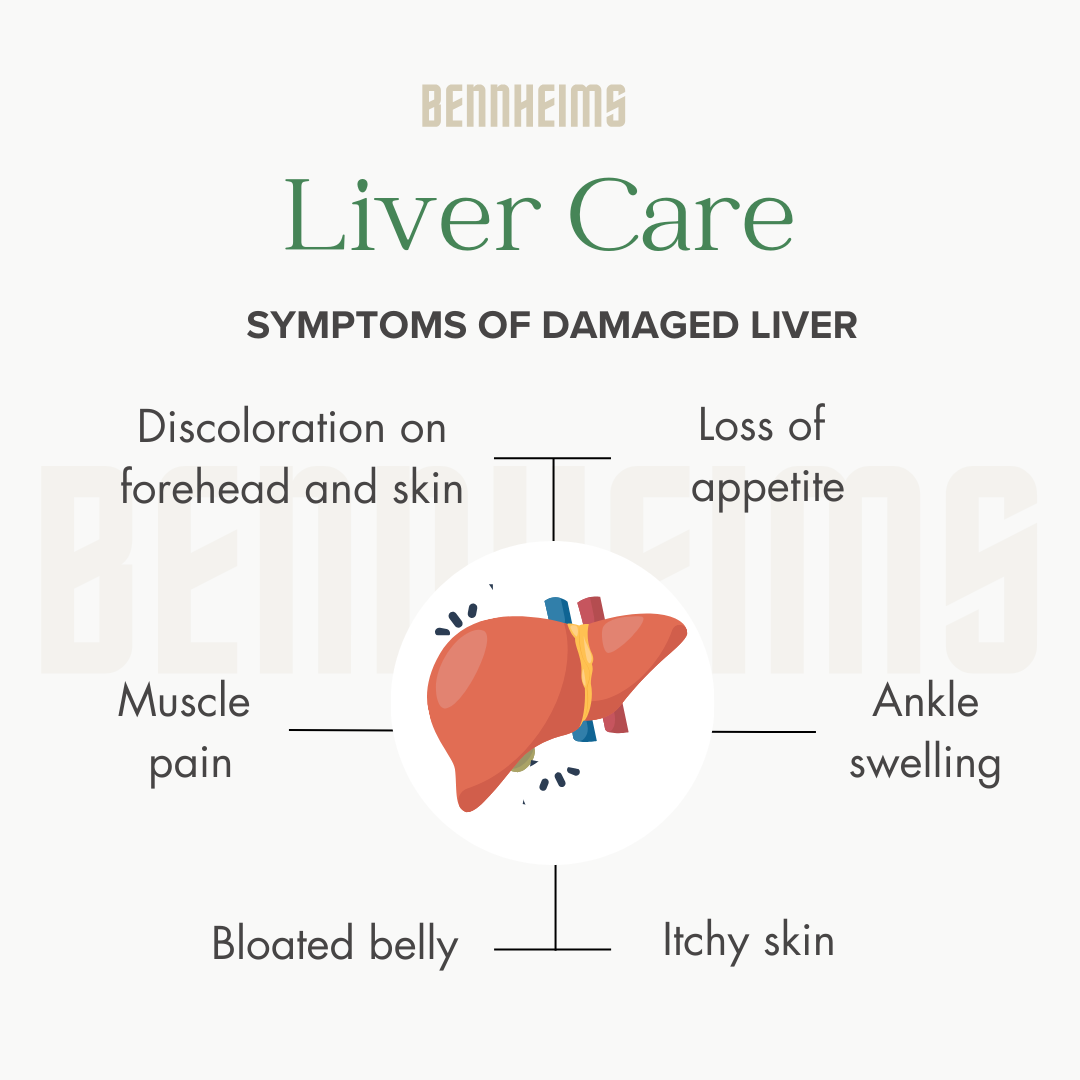 liver_care (3)